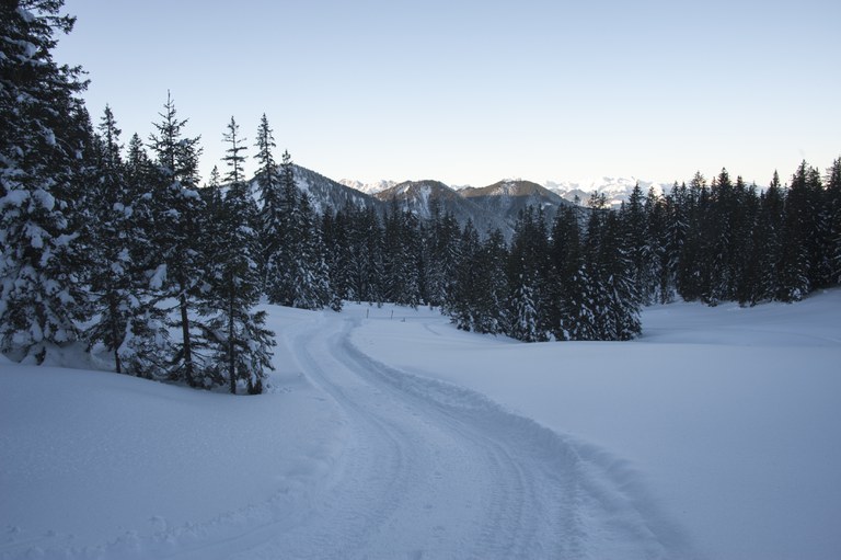 Winterwanderweg_RodelnLuisa_Winterbilder_Tropfen_Bäume_0240_1.jpg